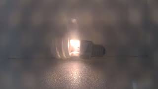 microwaving a cfl light bulb.