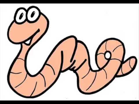 الدود والدود نوعان
