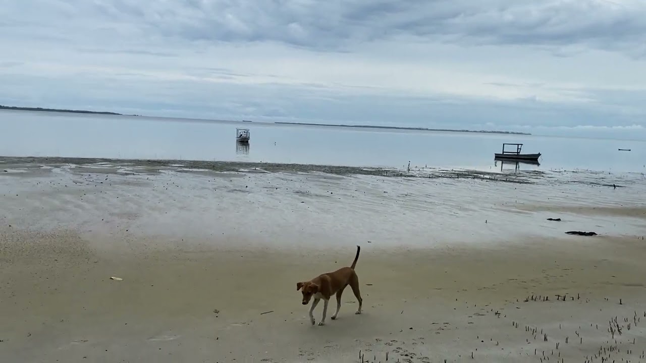 Остров "Мафия"-неоправданно дорого и никакой цивилизации.Африка.Танзания.Январь2022