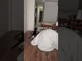 警察犬レベル1#ダックス
