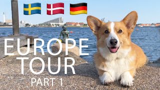 EUROPE ADVENTURE (1/3)  Topi the Corgi