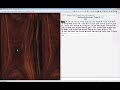 Beginning of video