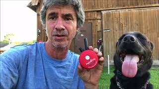 pager only dog collar