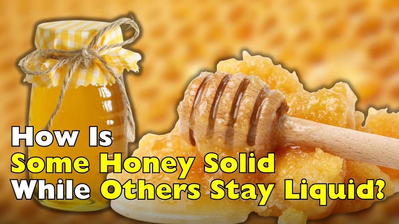 Почему одни виды меда застывают, а другие остаются жидкими? [ID2203]