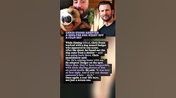 Chris Evans Adopted a Shelter Dog Right Off a Film Set