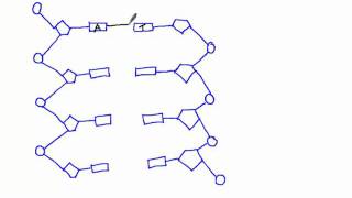 3 3 5 Draw A Simple Diagram Of Dna Structure Youtube