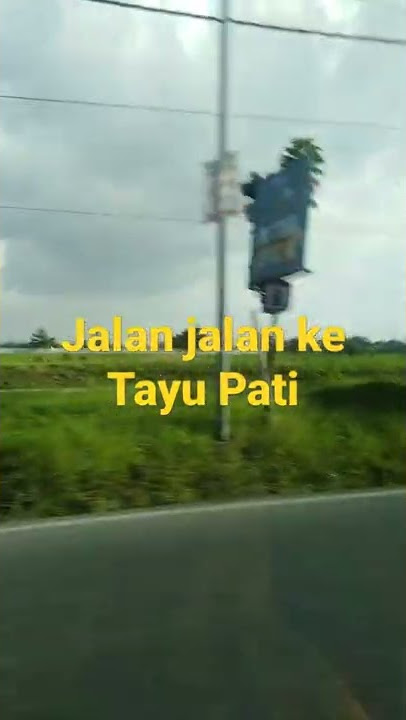 Indahnya Pemandangan desa Tayu yg menyejukkan mata #shorts #videoshorts #jalanjalankedesaTayu