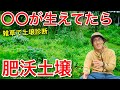 生えてる雑草で土壌診断！肥沃な土を好む雑草とは？