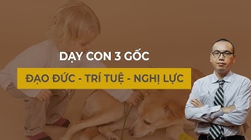 Cách Dạy Con Đạo Đức - Trí Tuệ - Nghị Lực, Bố Mẹ Nào Cũng Làm Được | Dạy con 3 gốc - Trần Việt Quân