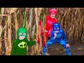 Corn Maze with Disney PJ Masks featuring the Assistant and Catboy, Owlette and Gekko