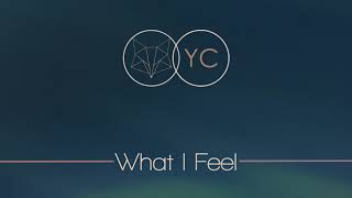 What I Feel (Official Audio) - Allegria & Your Countdown