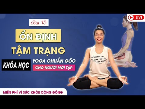 Video BÀI 15: Bài tập Yoga chuẩn gốc cho người mới tập - Ổn... - youtube