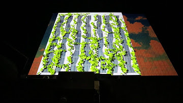 Chicago Projection Mapping - Live Outdoor Display - 3D Spring Video