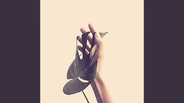 Pulsating Music for Unwinding