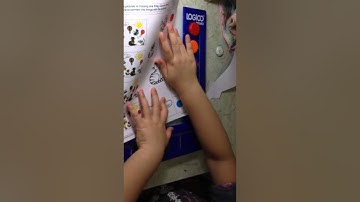 Logico primo set i-3