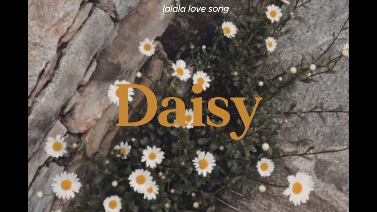 wave to earth - Daisy // lyrics 