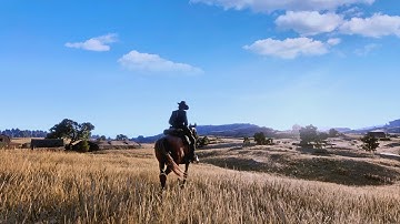The Most Realistic RDR2 Mod Ever - 8K on RTX 4090!
