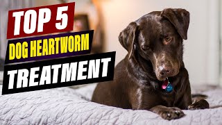 Dog Heartworm Treatment What You Need To Know
