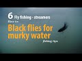 How to • Fly fishing - Streamers • Sea Trout - Black flies for murky water • fishing tips