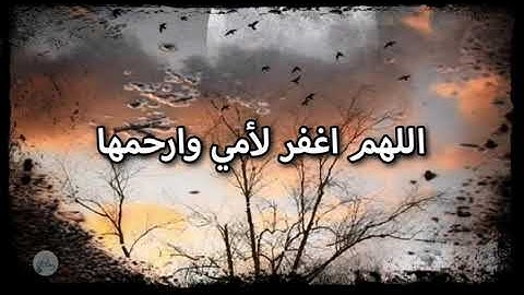 سورة الواقعة من الآية ٣١ إلى الآية ٤٠