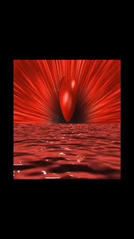 can't stop loving you by Van Halen #classicrock #lovesongs #musiclovers  https://gofund.me/3ea1a485
