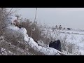 Ankara Postası Çankırı ördek avı. Karda ördek avı. Turkeyt duck hunting. Duck hunting in the snow.