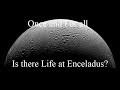 The Enceladus Orbilander Mission