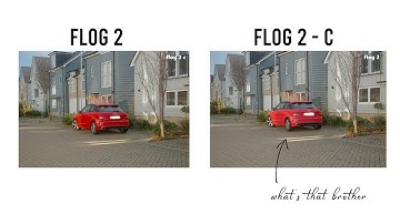 F-Log 2 C VS Flog-2 Comparison with Portra 400 Film Simulation