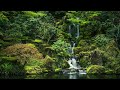 Calming Music ~ Beautiful Relaxing Music for Stress Relief ~  Meditation, Relaxation, Sleep, Spa