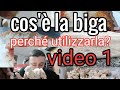 Cos'è la BIGA e PERCHÉ UTILIZZARLA? videocorso n.1