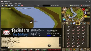Free RuneScape Bot  AutoFisher   The BEST Free Runescape Bot   Download Link in Description