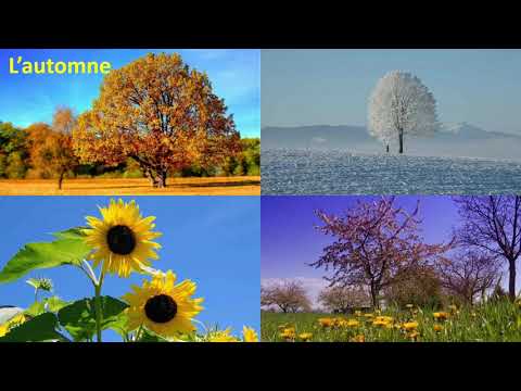 Vidéo: Comment Décrire L'automne