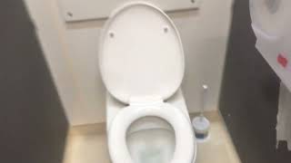 Massey University: Male Toilet Flush (New Zealand, North Auckland) Resimi