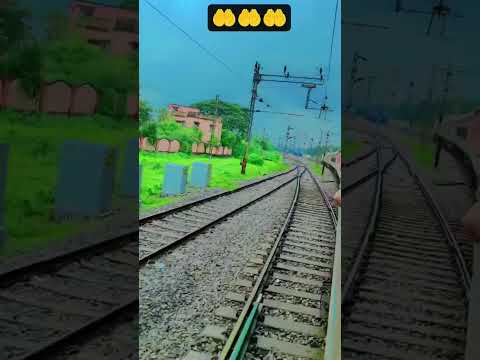 Lifeisbutadream Funny 