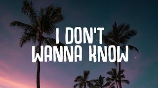 Silience - I Don't Wanna Know (Lyrics) ft. Brenda Mullen Resimi