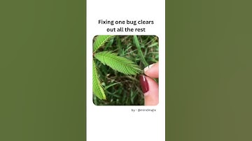 When Fixing One Bug 😂 #developermemes #codingmemes #funny #comedy #Programmingmeme