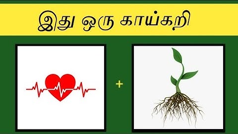 Logical Riddles 04 | Tamil riddles | Detective riddles | Picture puzzle | Nimmi riddles