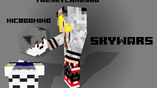 Skywars Mit Nico