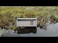 Building the Ultimate Legacy Duck Blind