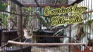 5 Contoh Variasi Tembakan Klikklik Jinak Gacor