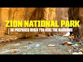 What to Know Before Hiking the Narrows at Zion National Park Utah : Ep.18