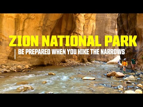 What to Know Before Hiking the Narrows at Zion National Park Utah - The Mighty Five Part 1 : Ep.18