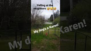 My dog is a Karen!?!?