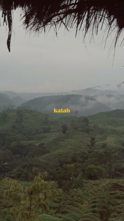 Budi Doremi-Mesin Waktu(story wa) #status #storywa #fyp #budidoremi