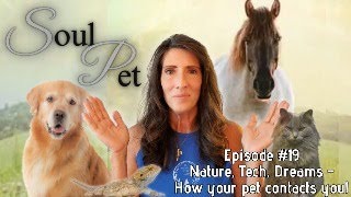 SoulPet Episode 19: Make Contact with Pets on the Other Side