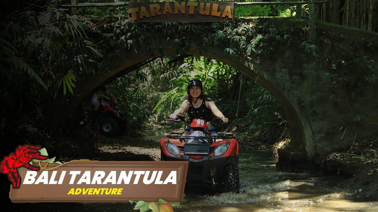 ATV BALI | THE BEST ADVENTURE ATV #1 | BALI TARANTULA ATV