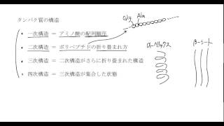 ｢アミノ酸とタンパク質｣講義６：高校化学解説講義