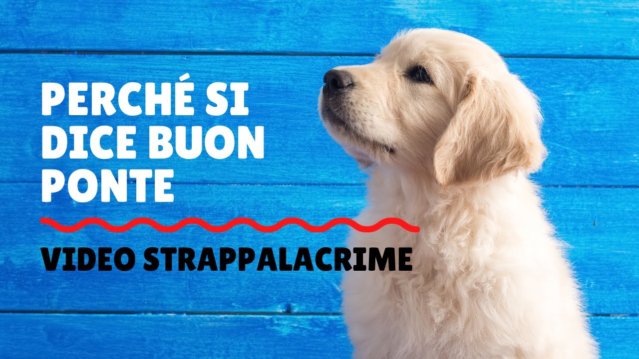 Perché si dice buon ponte