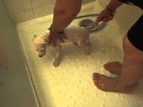Sarah / La douche
