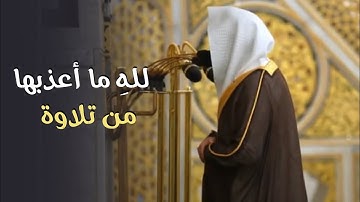 ما أعذبها وما أنداها من تلاوة! د. عبدالله القرافي | قبس ليلة 18 رمضان 1446
